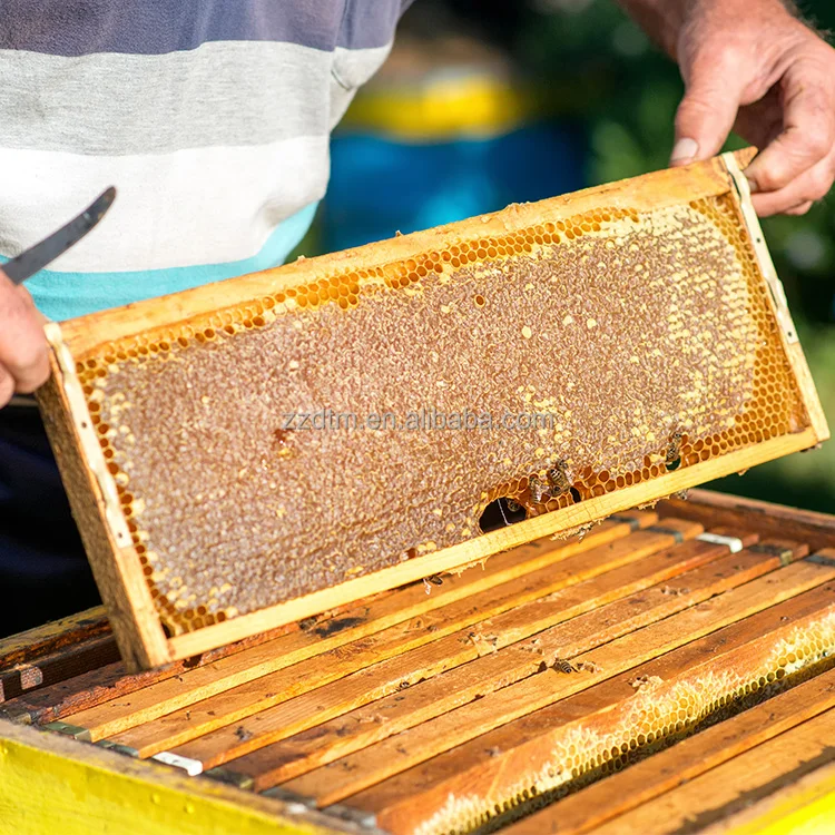 Beekeeping Equipment Tools Unassembled Pine Wood Bee Frame For Hive