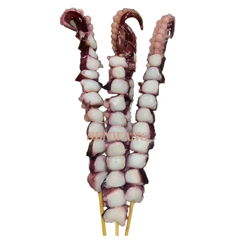 
Hot Sale Todorodes Pacificus Skewer BBQ Illex Argentinus Octopus Skewer Frozen Squid Skewer 