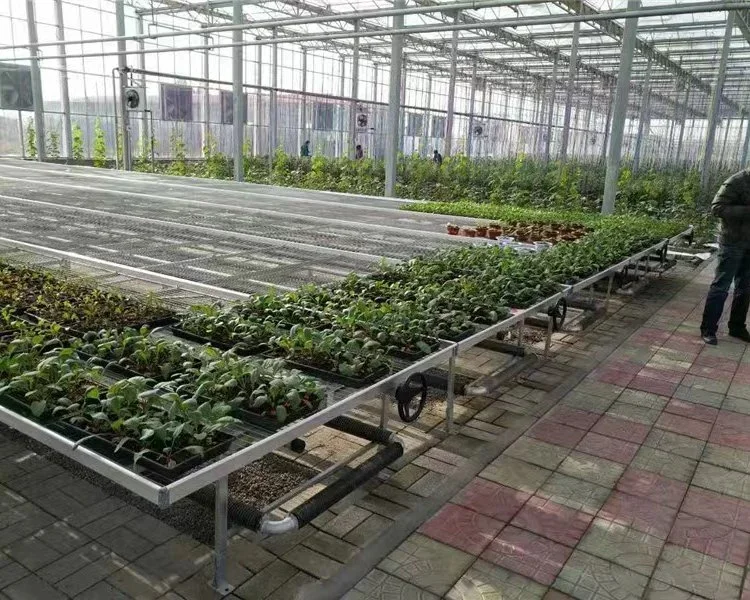 Hydroponic Pot Plant System Vertical Grow Rack and Flow Folling bench Vertical Grow Rack System Grow Trays for Greenhouse