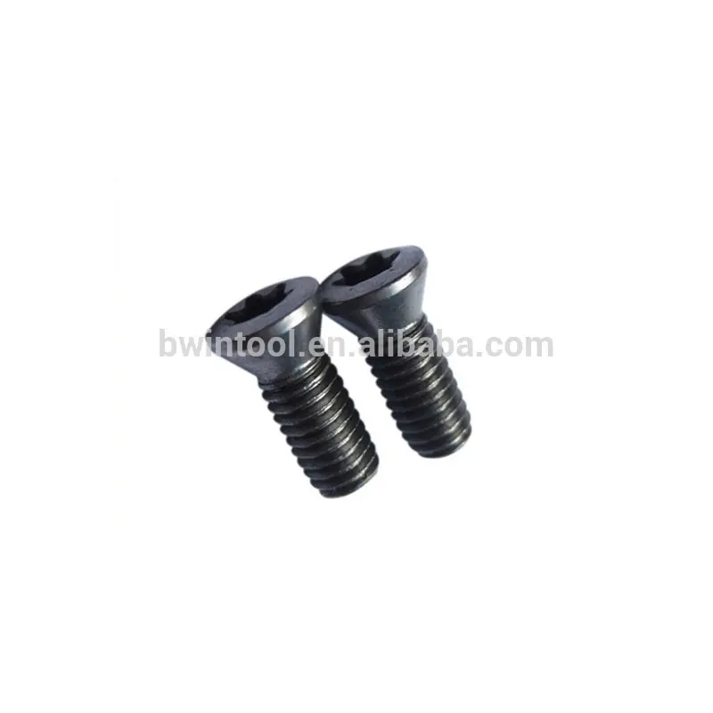 Made in China Torx Head Screw M2.5*6 torx screw