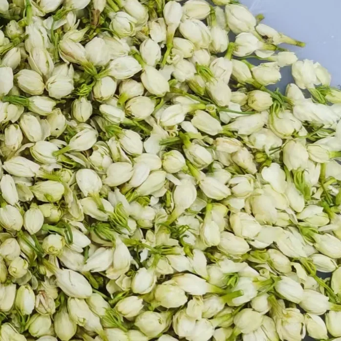 Premium Natural Dry Jasmine Buds Dried Jasmine flowers  in loose wholesale cheap price