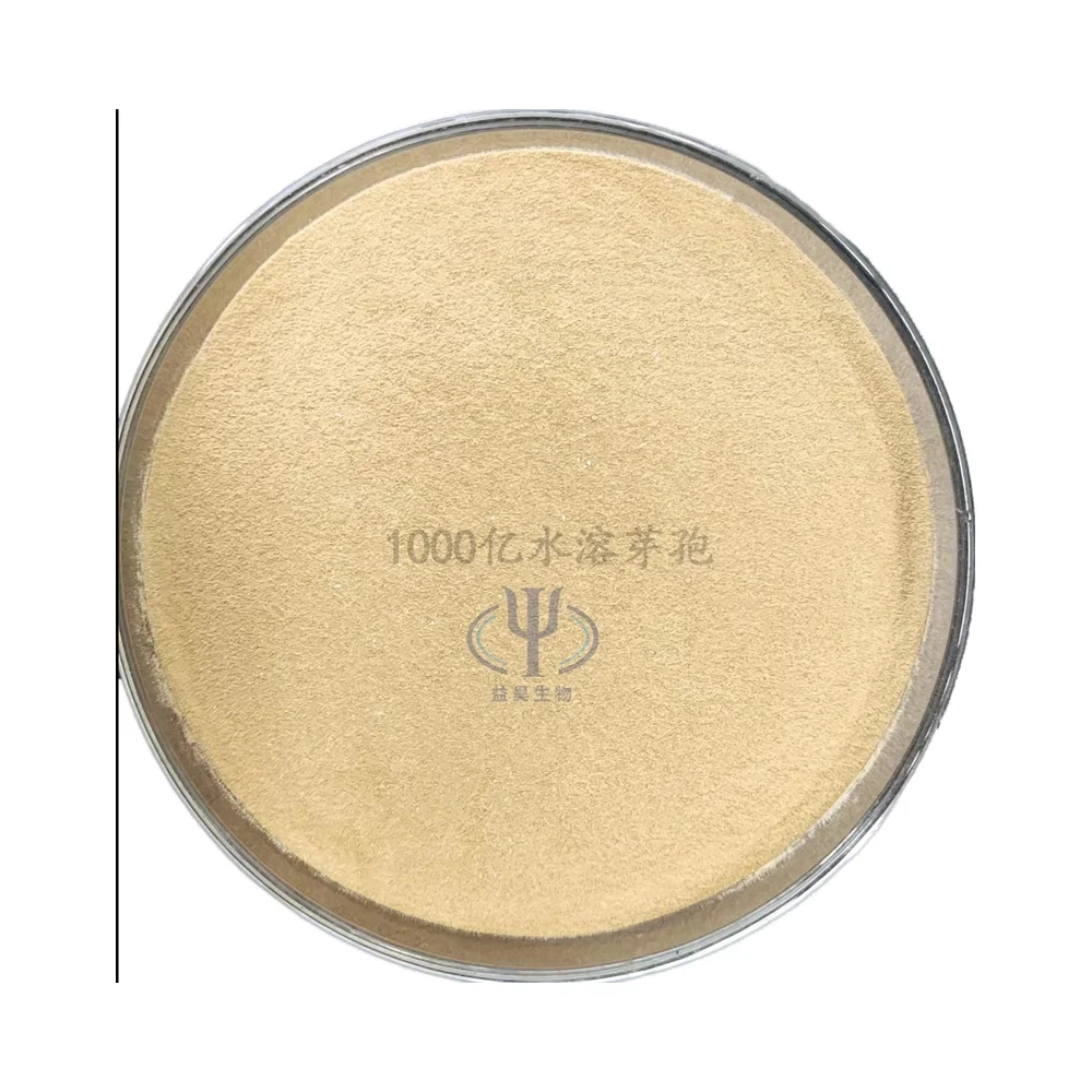 Top Quality Purify Water Quality 20 Billion Bacillus Subtilis Probiotic Use In Aquaculture