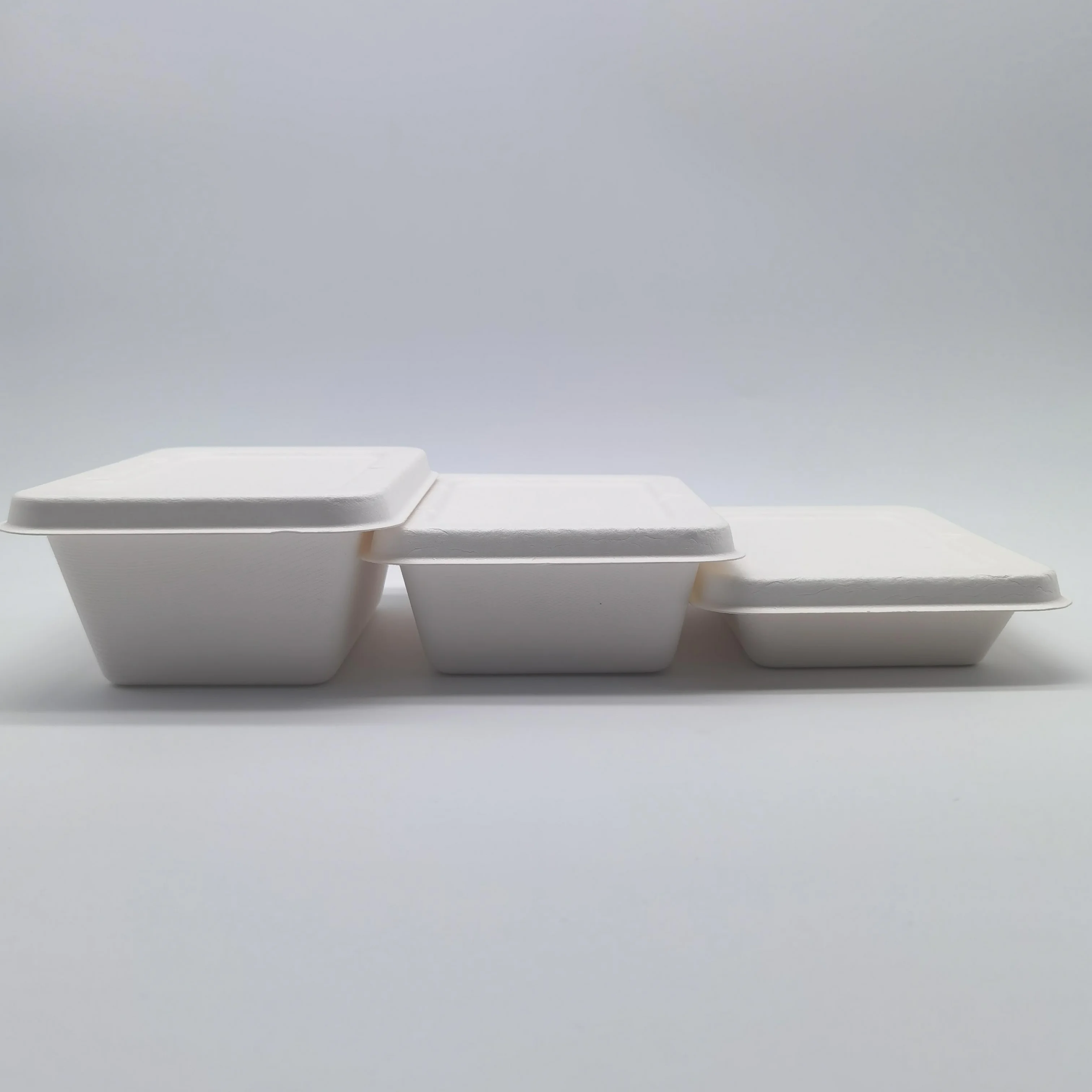 100% Compostable Biodegradable Sugarcane Bagasse Bento Box Bamboo Pulp Food Container