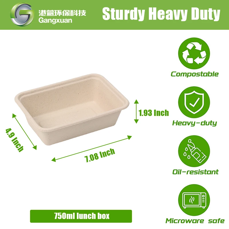 Disposable Tableware Biodegradable Sugarcane Bagasse Leakproof Takeaway Paper Lunch Box Container Catering Boxes with Lid