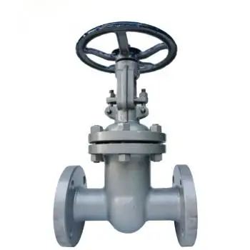 Carbon Steel Flange Gate Valve Cast Steel Wcb Heavy Flange Gate Valve 2.5Mpa Z41H-25C DN100