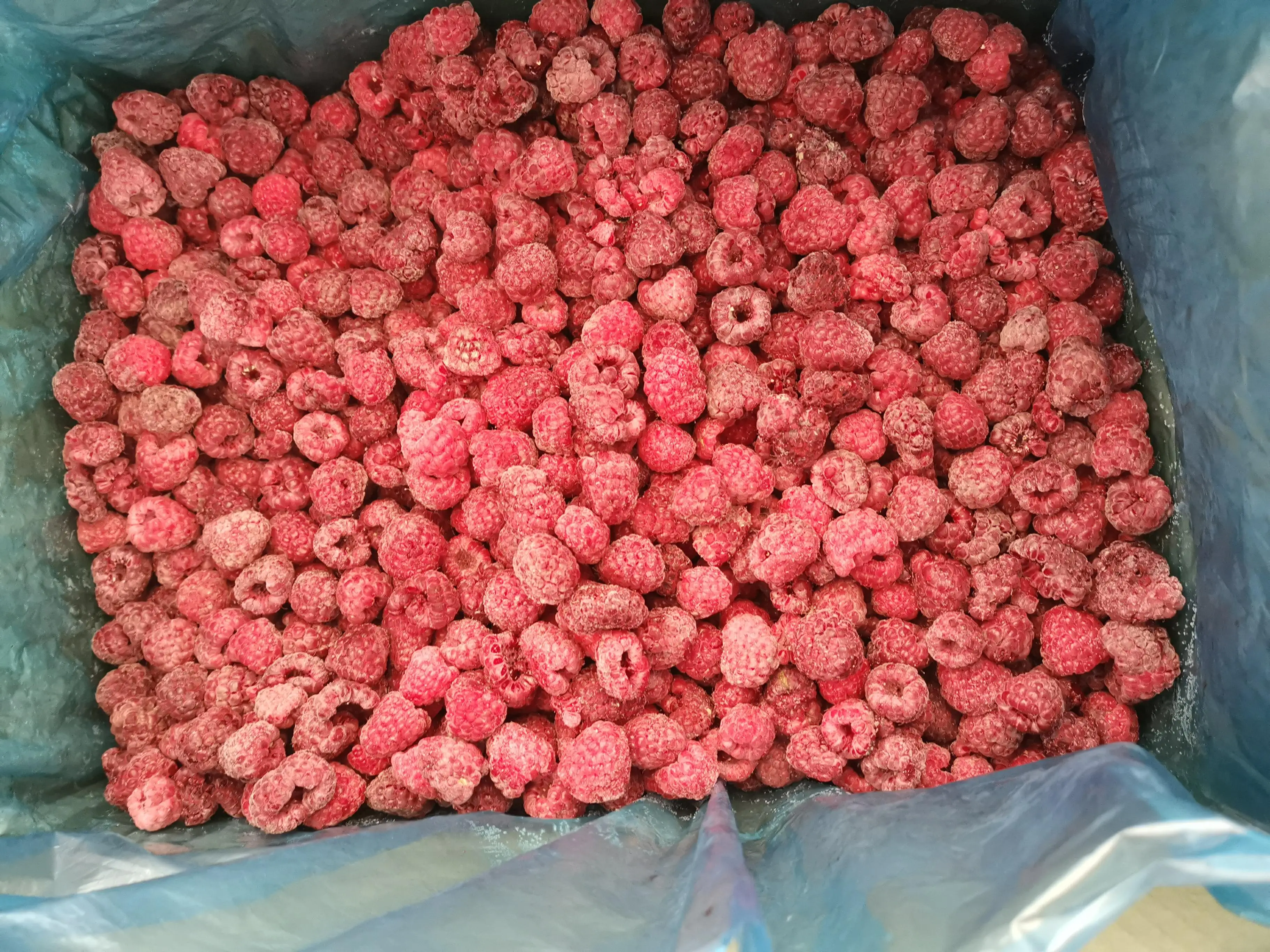 
Cheap IQF frozen raspberry 