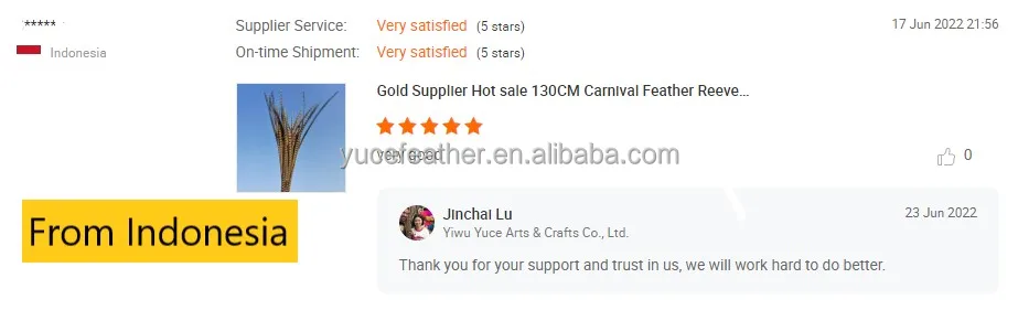 Cheap Large Natural Reeves Pheasant Tail Feathers 90-100CM for Carnival Samba Pattaya performances