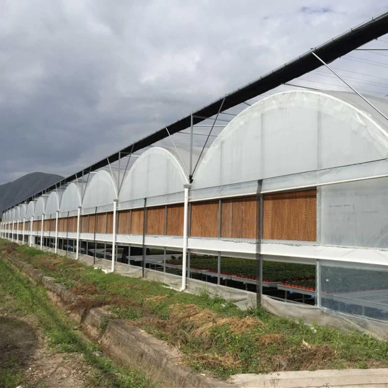 Оптовая продажа высокое качество многопролетная пленка для теплицы цена производства