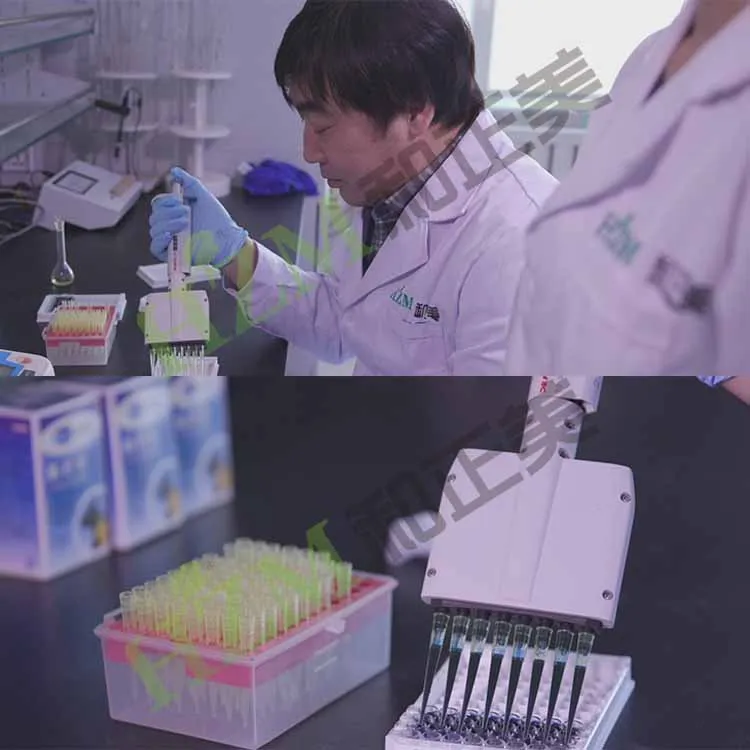Natural animal feed additive toxin binder medicine MONTSORB