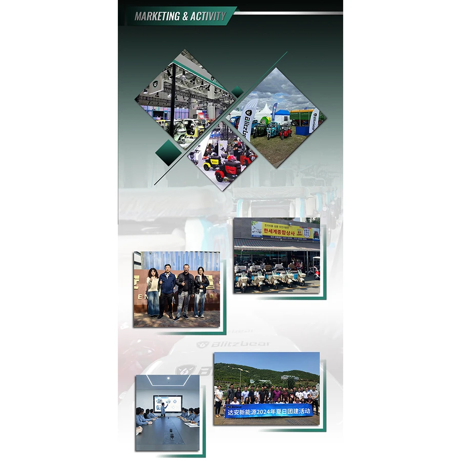 Adjustable 60/72V 800W Electric Tricycle for Small Households 2-Seater with Customizable Options