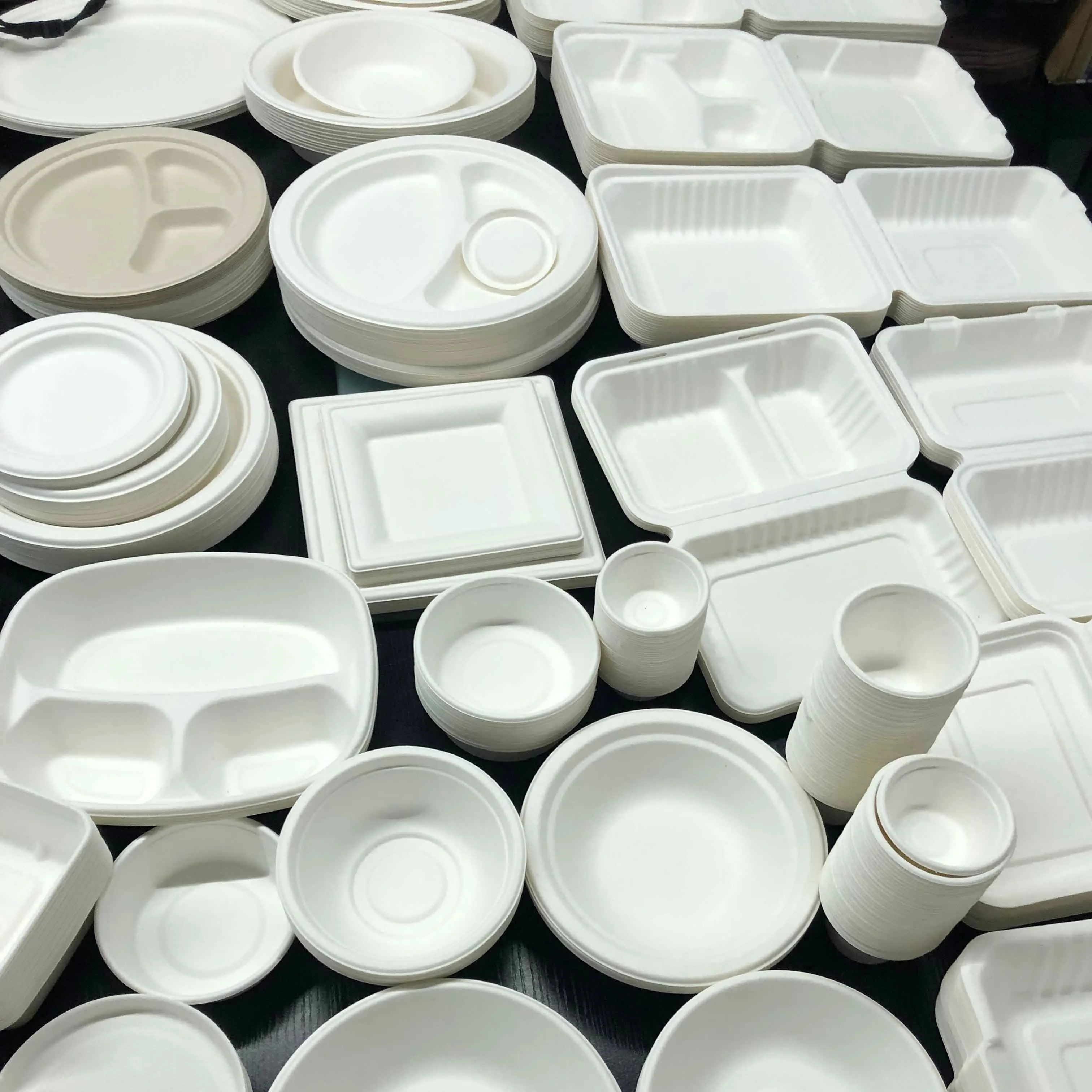 6 8 9 10 Inch China Biodegradable Tableware Making Machine  Colored Biodegradable Disposable Tableware