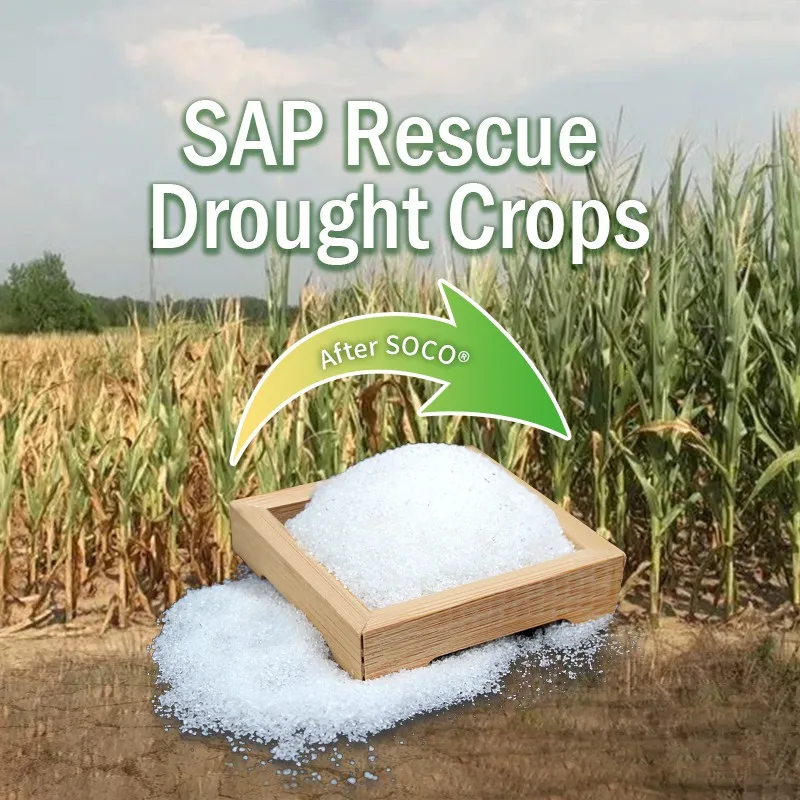 Agricultural Potassium Polyacrylate Super Absorbent Polymer for Agriculture