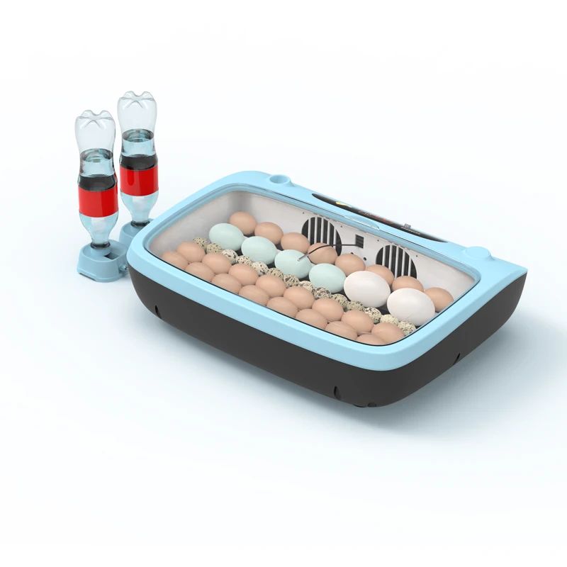 Poultry Egg Equipment Fully Automatic 15 Eggs Capacity Small Egg Incubator
