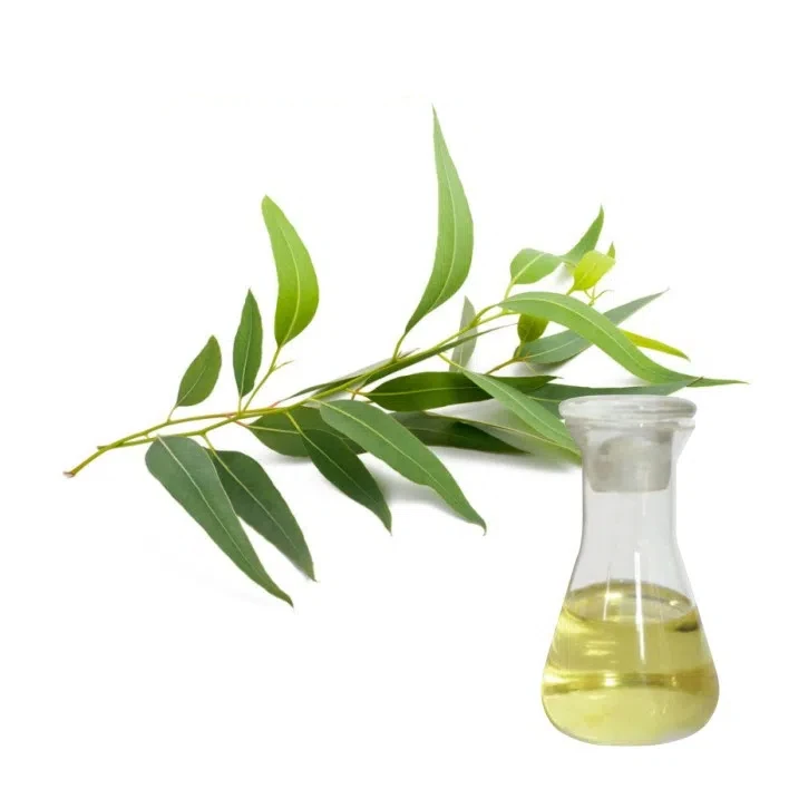 8000-48-4 Pure Plant Extract Eucalyptus Oil Bulk Mosquitoes Repellent Natural Fragrance Essential Oil Wholesale
