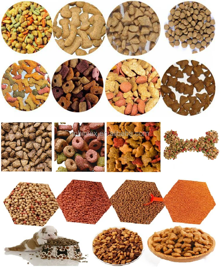 Professional animal feed pellet making machine cat dog food bird feed pellet machine for animal