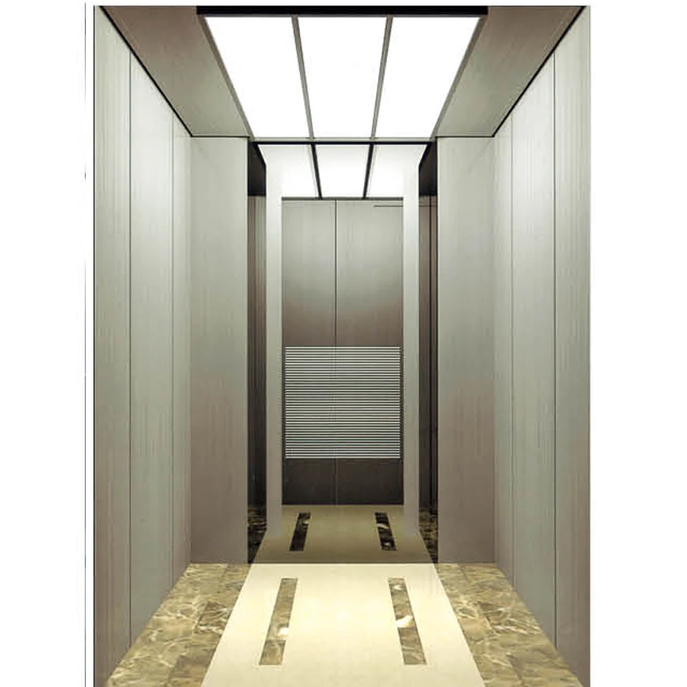 China Residential and Commercial Indoor/Outdoor Elevator Price