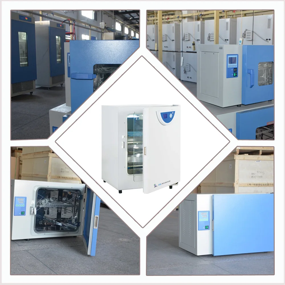 SERICO 80L Automatic CO2 Incubator heracell Model BPN series 55Celsius 20%+/-0.1% IR sensor