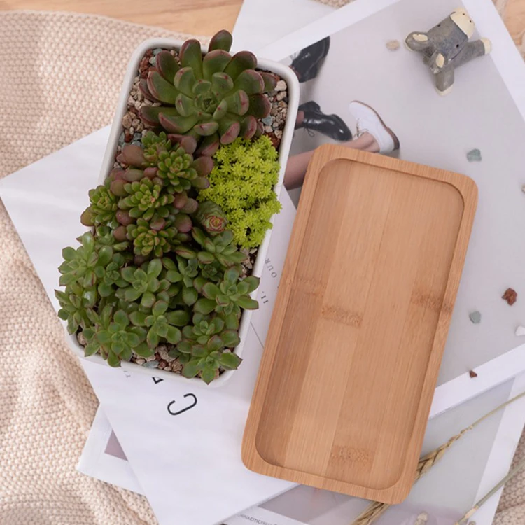Modern Decorative Garden Flower Pot Ceramic Pots For Succulent Cactus Plants Pot With Drainage Wooden Tray