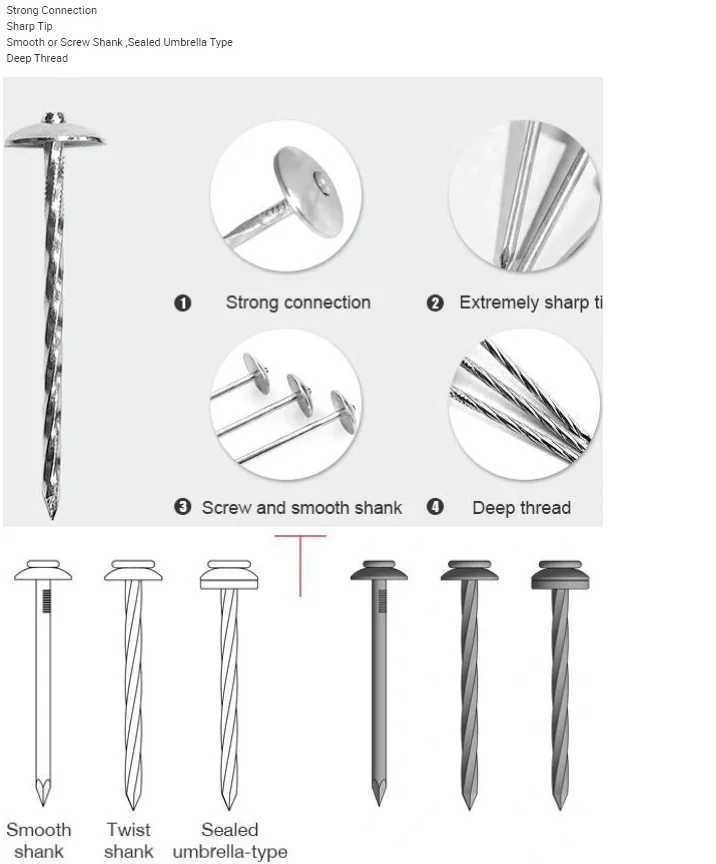Factory Outlet Umbrella Head Galvanized Roof Nail Smooth or Twisted Handle