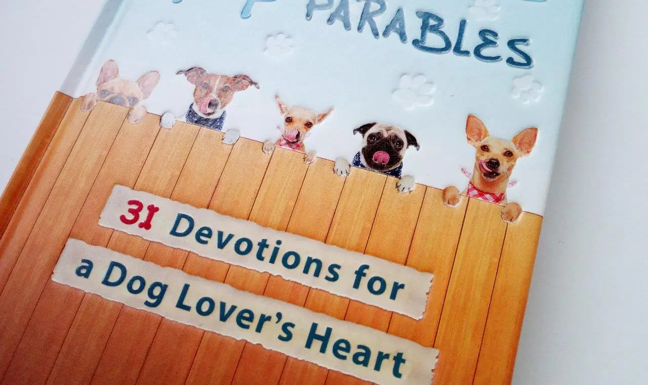 Custom Offset Printing Recycled Children School Educational Photo Book Coloring Story Book