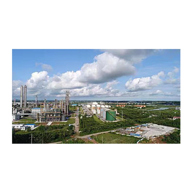 New Design Wholesale Price Drilling Mud Chemical Fluid Additives Anionic X-CACO3