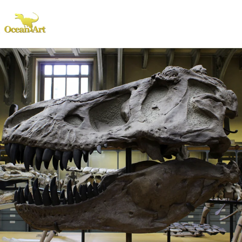 Outdoor Science Museum Exhibits Dinosaur Fossils