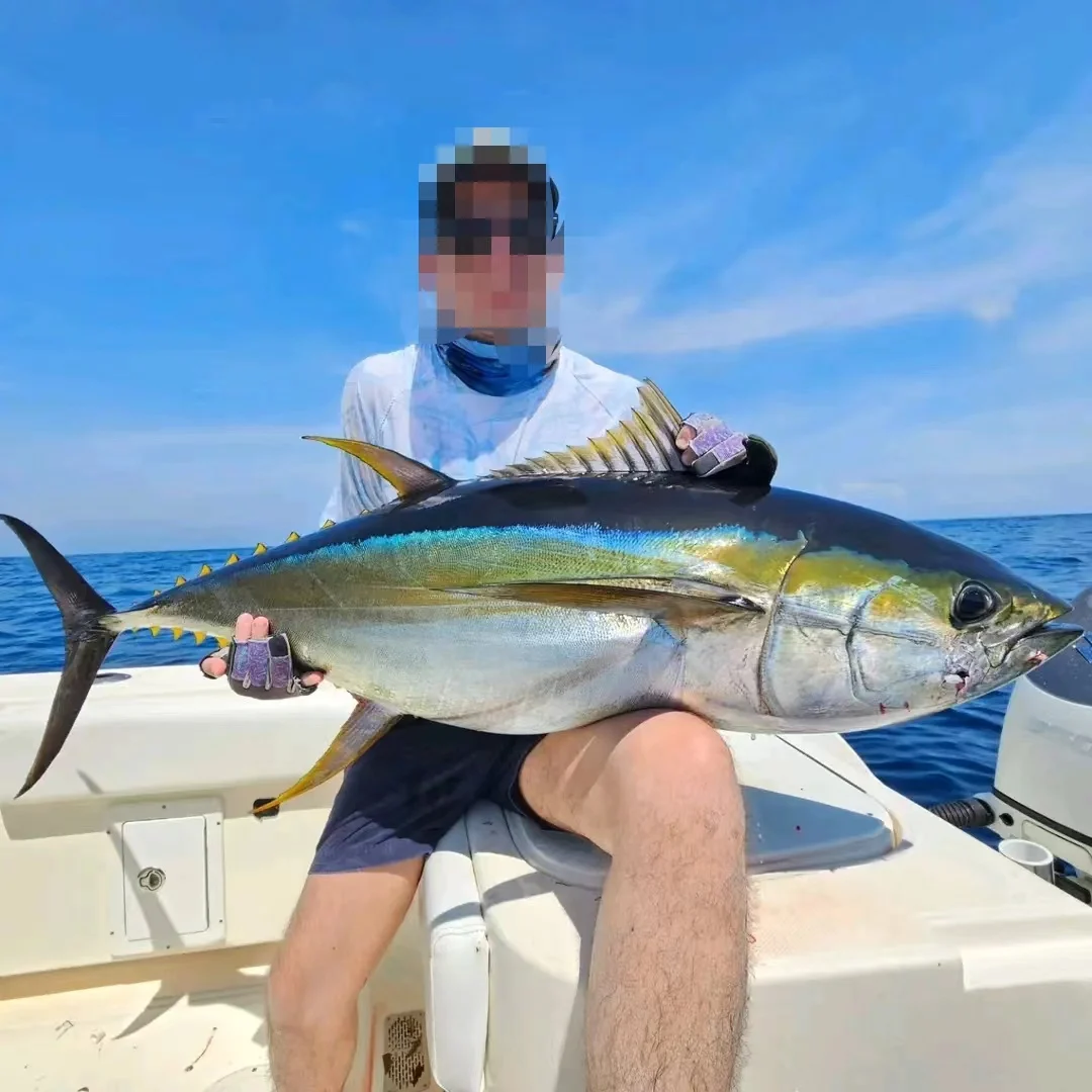 Японская оригинальная электрическая катушка Miya AC-3JPC-12V Marlin tuna fishing 12 В Рыболовная Авто джиггинг