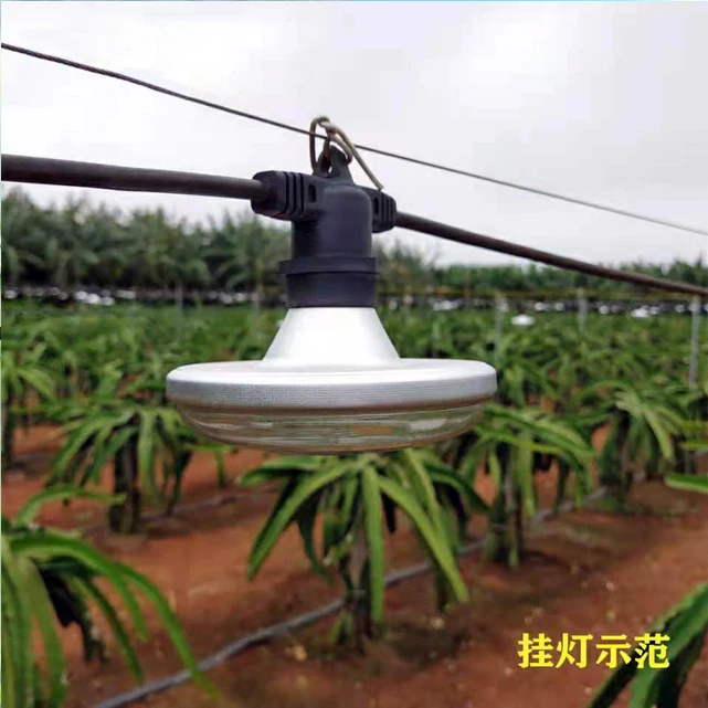 Pitaya Dragon Fruit  LED Plant Growing Lamp  Full Spectrum E27 15W  LED Grow Light waterproof outdoor greenhouse Plant Bulb