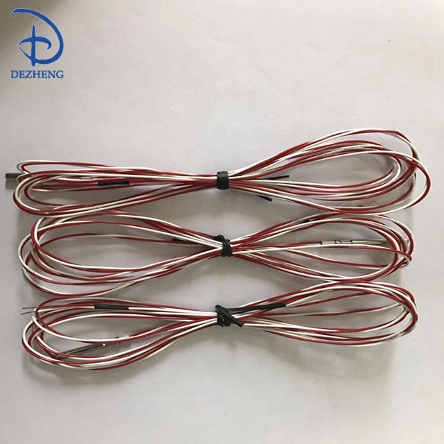 RTD PT100 sensor 2 wires