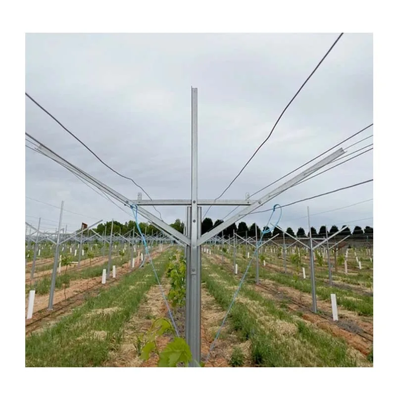 Factory price supply galvanized steel table grape gable vineyard trellis post system with all accessories