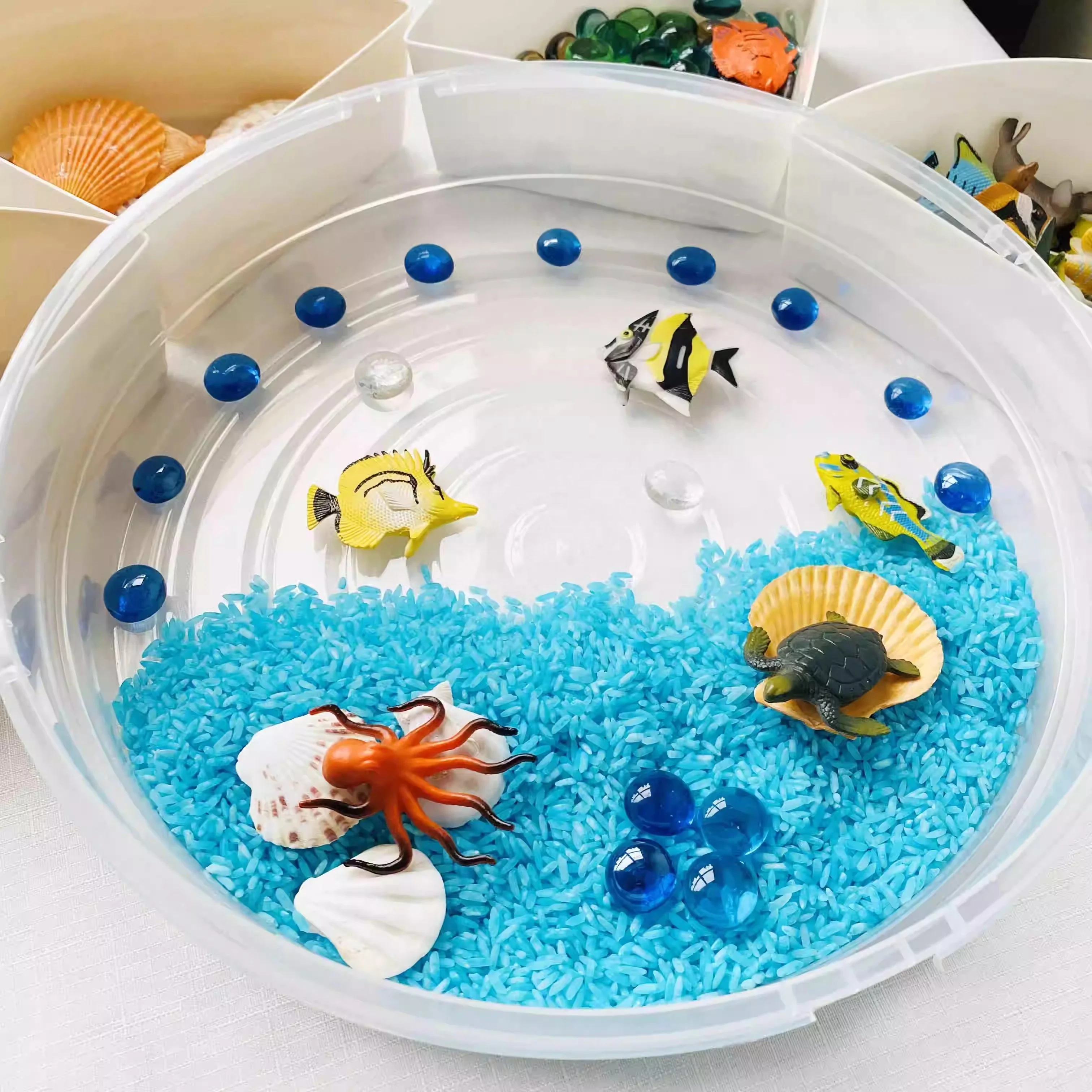 Bin with Lid and Removable Storage Inserts Sensory Activities for Toddlers 12.2 Inch Portable Play Tray Box  Toys Children