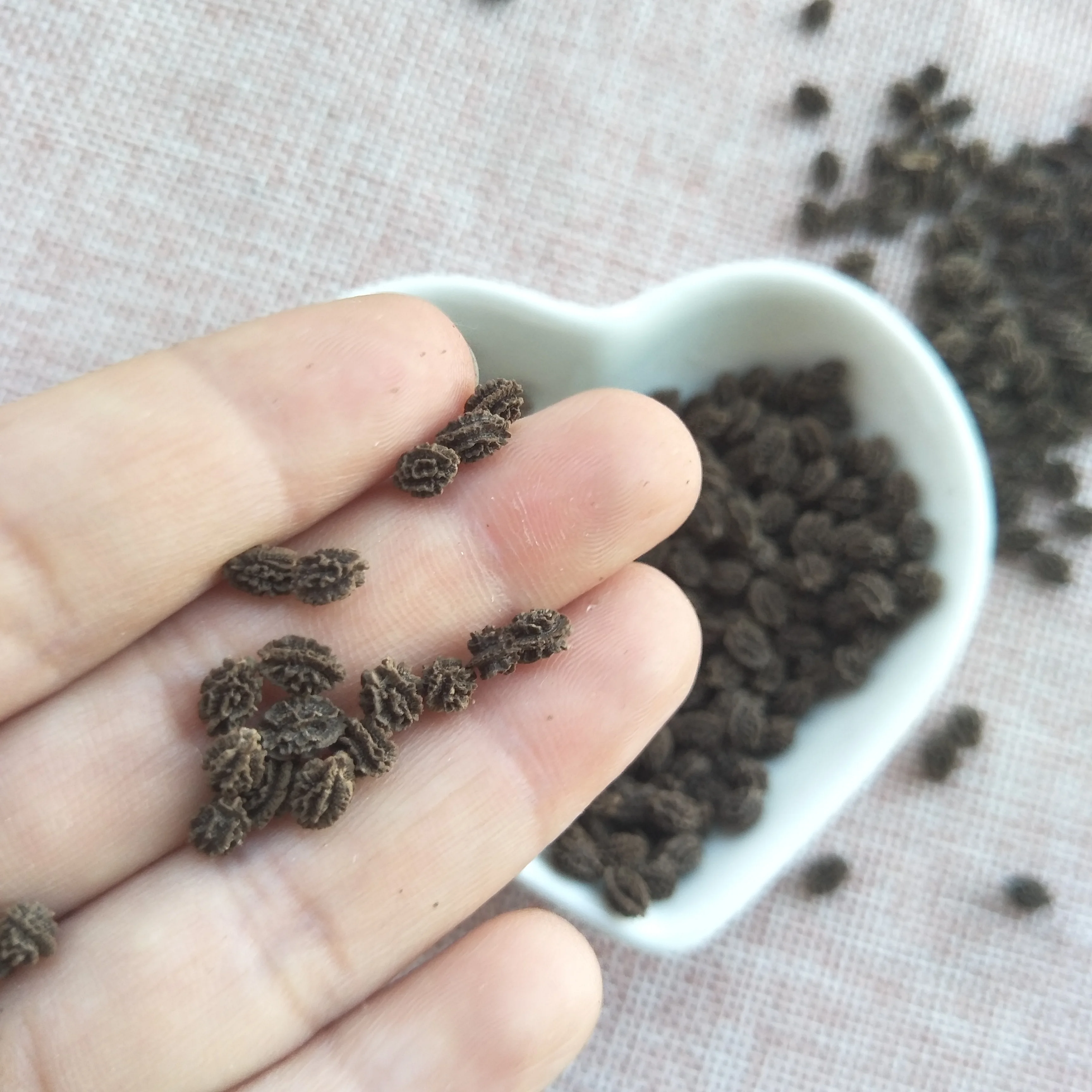 High quality red lady seeds papaya seed for sale