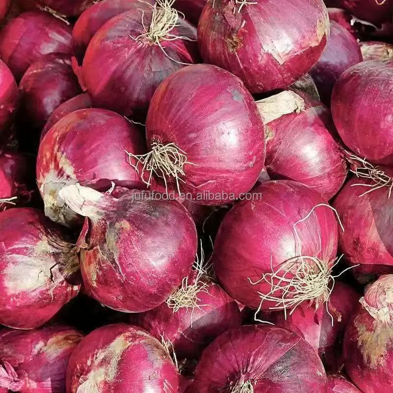 New crop of  fresh red onions and yellow onion white price per ton in China from onion seeds exporter for exporting