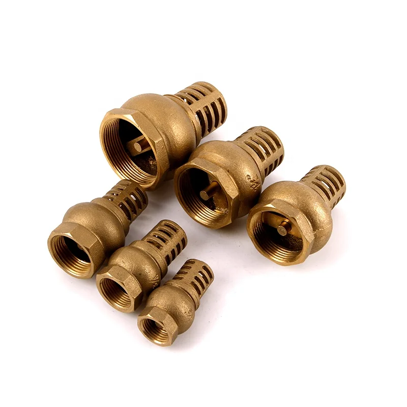 Made in China High Quality Heavy Duty Copper Hoist Check Valve Brass Bottom Valve Flow Control Brass Check Valve