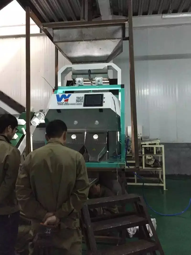 RGB Pulses Color Sorter Machine Lentils Sorting Machine For Dal Processing Line