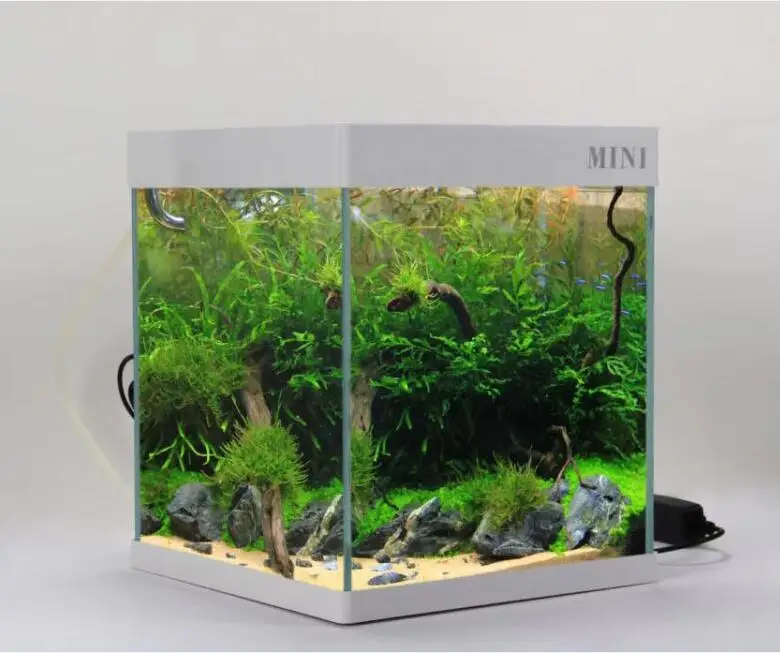 modern designs manufacture fish tank aquarium