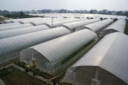 angriculture  film.jpg