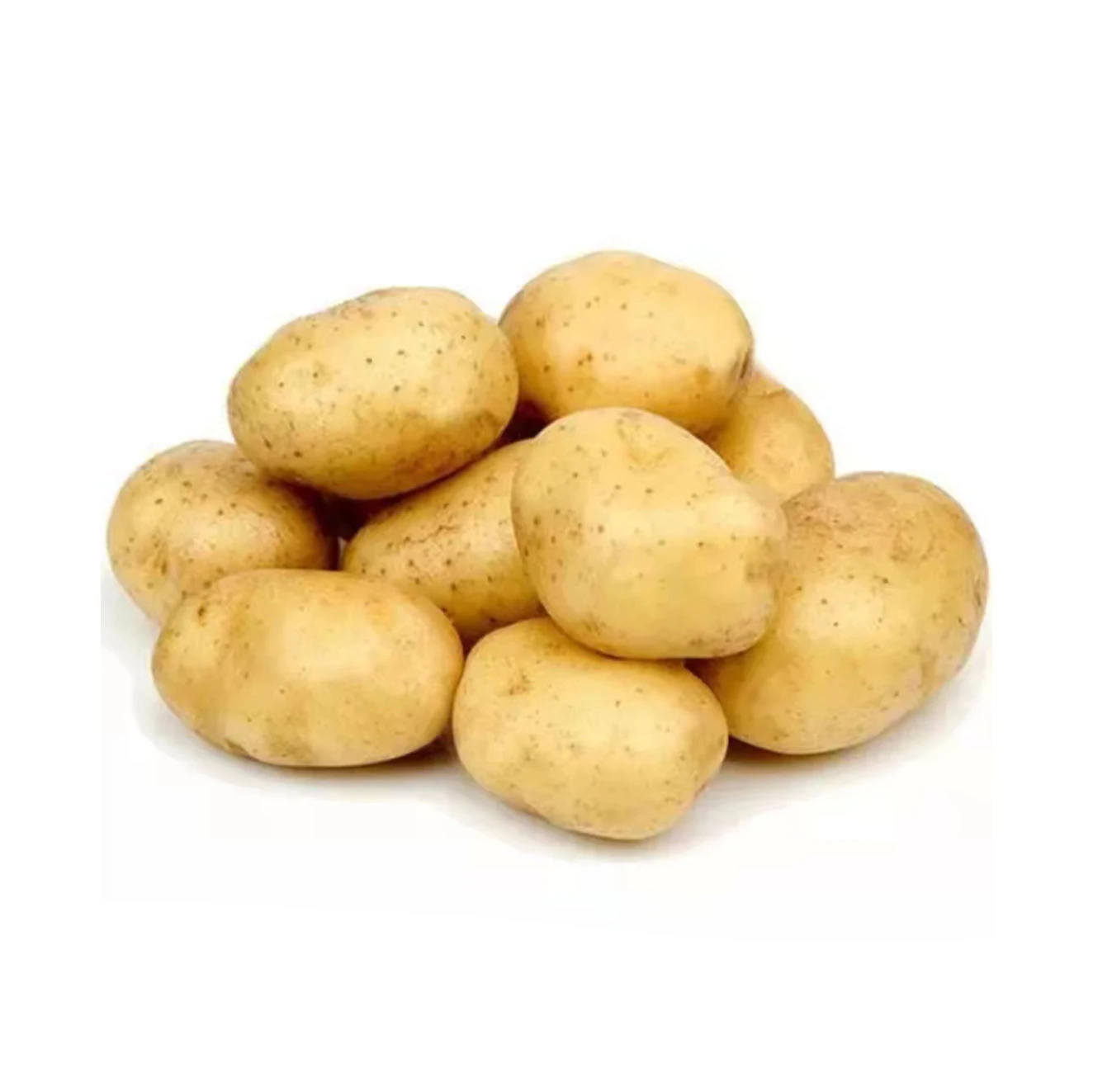 Hot selling cheap price vegetable fresh potatoes for wholesale