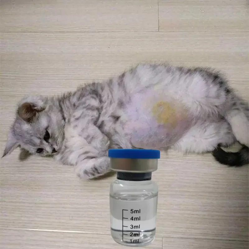 F.I.PV cat food nutrition F.i.pcat food health care  supplements pills and powder feline rapid test kit