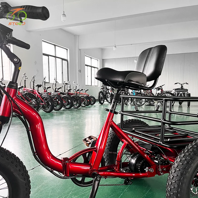 Steed central control system share bike vintage electric bicycle 3 wheel adult bicycle e-bike triangle electric bike