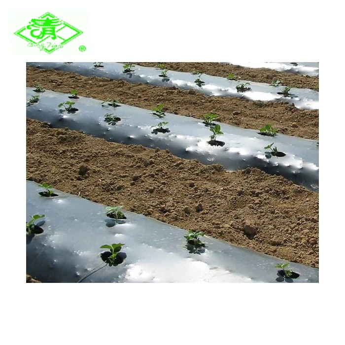 Agriculture or garden use plastic mulch film with hole