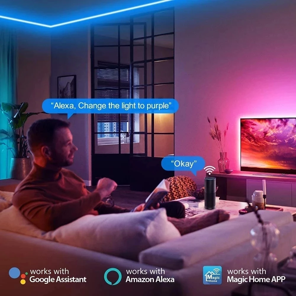 LED Strip Lights RGB 5050 2835 Bluetooth Wifi Control Waterproof Flexible Tape TV Backlight Room Home Party Decoration Luces Led