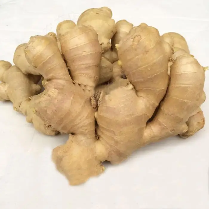 black ginger seed ginger wig curly