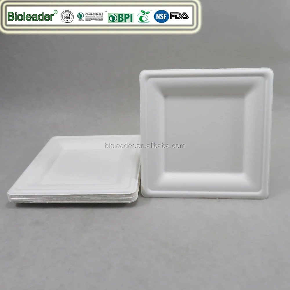 Biodegradable Sugarcane Bagasse 10x10 Inch Square Plates