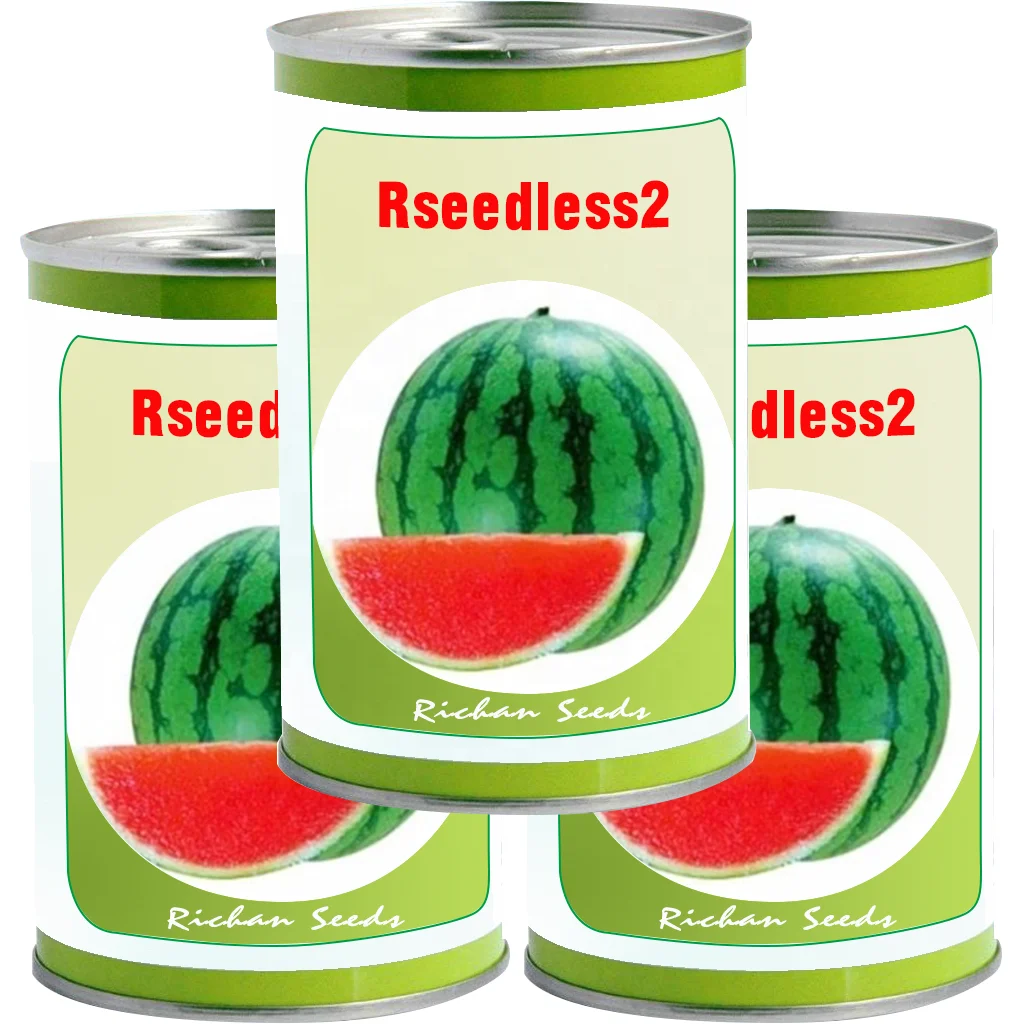 
F1 hybrid watermelon seeds without seeds hot resistance fast growing high suger content round and red flesh vegetable seeds 
