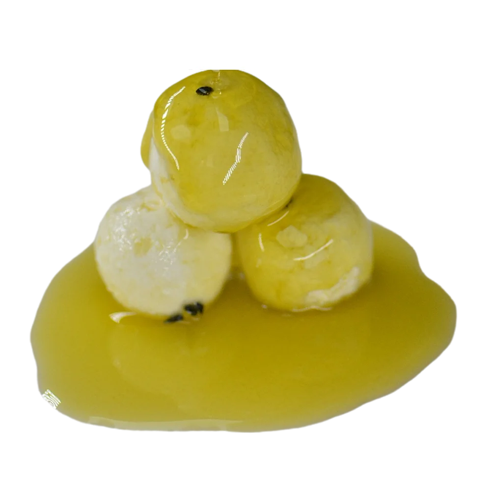 Delicious Dairy Snacks Pizza Production Grilled Sandwich Wholesale Low Fat Health Instant Food Goat White Cheese