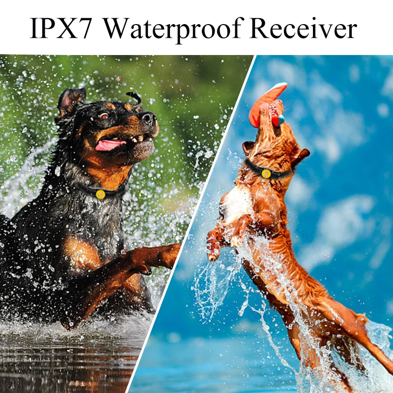 Hotspot Pets Best Dog Training Collar Large Dogs Toy Wholesale Custom Made Long Range Waterproof Agility Training Products