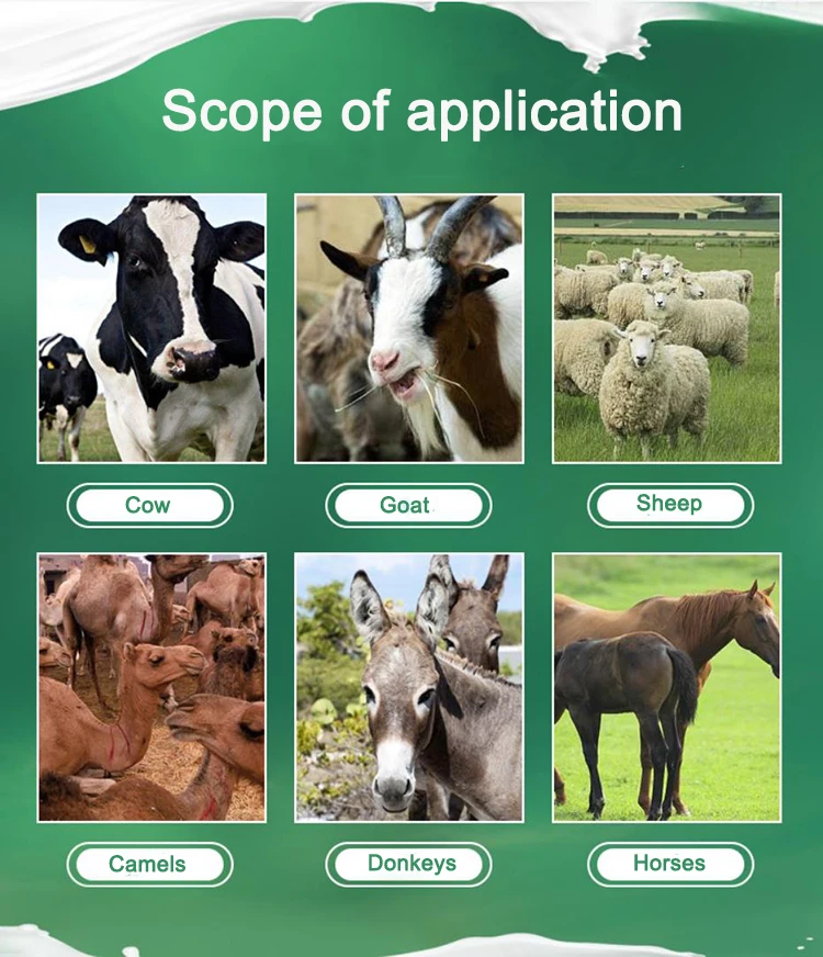 Electric Single Cow Portable Milking Machine Camel Goat Sheep Cow Milking Machine