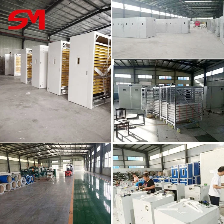 Perfect After-Sale Service Bird Cockatiel Egg Incubator Design And Assembly