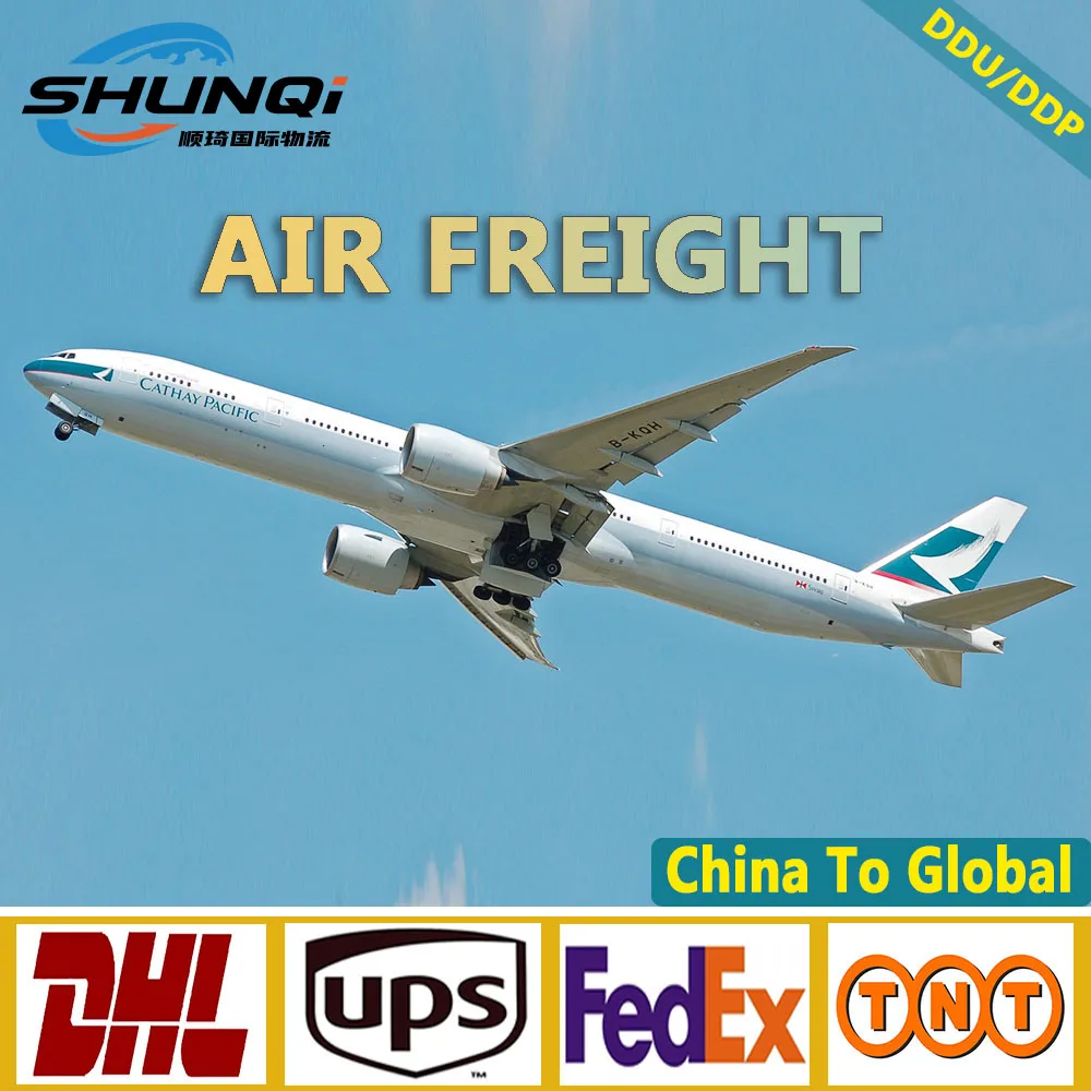 Top 10 cheap freight forwarders Door to door service Fast sea freight forwarders from China to iraq